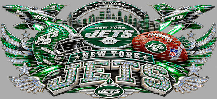 16oz team-NFL 3708